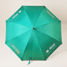 國家電網(wǎng)綠色雨傘