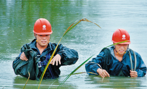 ����늾W(w��ng)